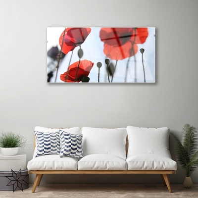 Glass Print Poppies floral red black