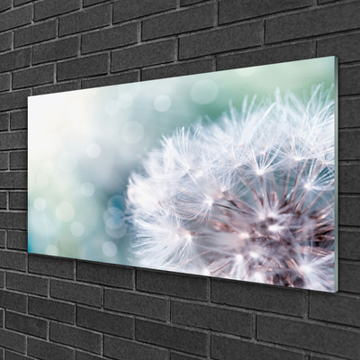 Glass Print Dandelion floral white blue