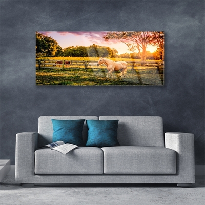Glass Print Horse meadow animals green brown