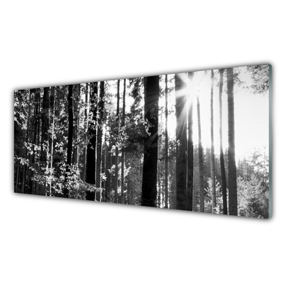 Glass Print Forest nature grey