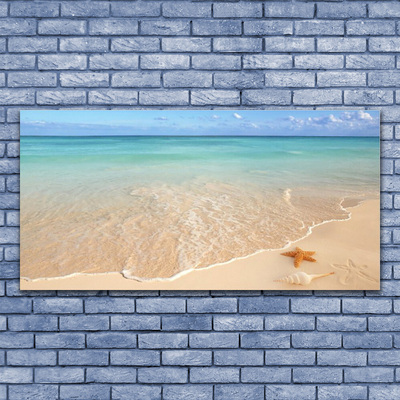 Glass Print Sea beach starfish landscape blue brown