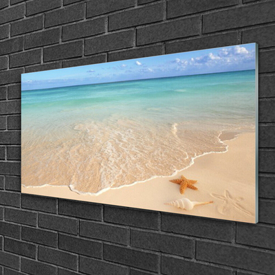 Glass Print Sea beach starfish landscape blue brown