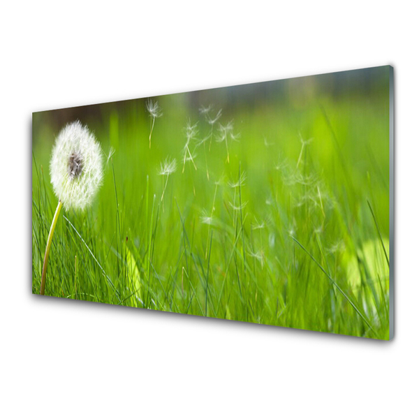 Glass Print Pusteblume grass floral white green