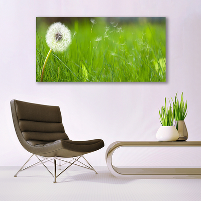 Glass Print Pusteblume grass floral white green