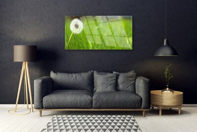 Glass Print Pusteblume grass floral white green