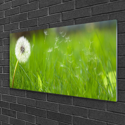 Glass Print Pusteblume grass floral white green