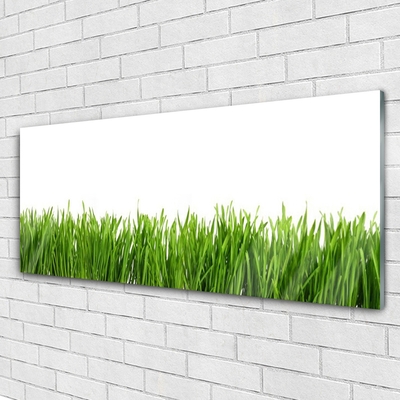 Glass Print Grass nature green