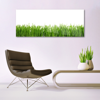 Glass Print Grass nature green