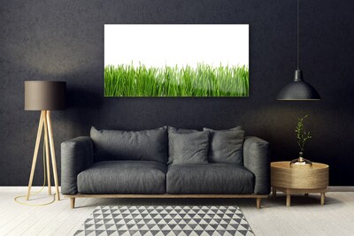 Glass Print Grass nature green