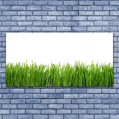 Glass Print Grass nature green