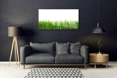 Glass Print Grass nature green