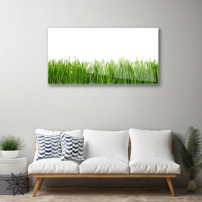 Glass Print Grass nature green