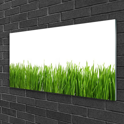 Glass Print Grass nature green