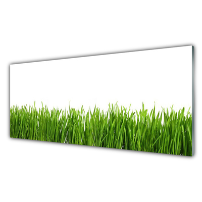 Glass Print Grass nature green