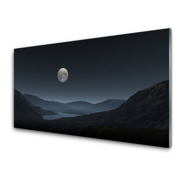 Glass Print Night moon landscape grey black