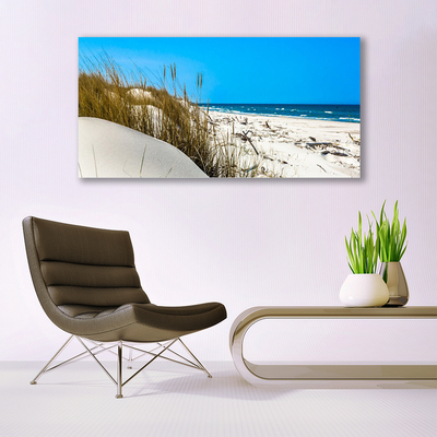 Glass Print Beach landscape green white