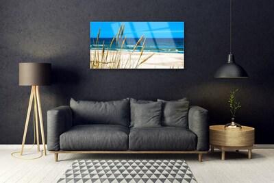 Glass Print Ocean beach landscape brown blue