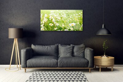 Glass Print Meadow daisies nature white yellow green