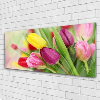 Glass Print Tulips floral green red