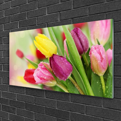 Glass Print Tulips floral green red