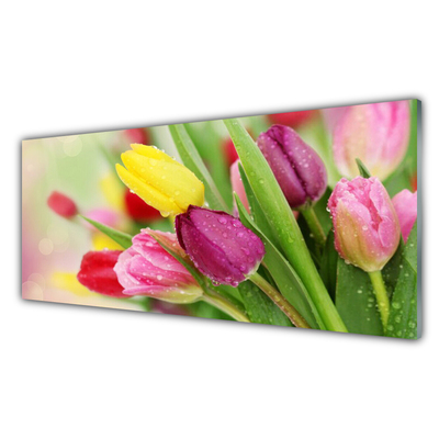 Glass Print Tulips floral green red