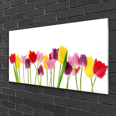 Glass Print Tulips floral multi