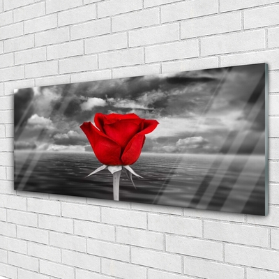 Glass Print Rose floral red grey