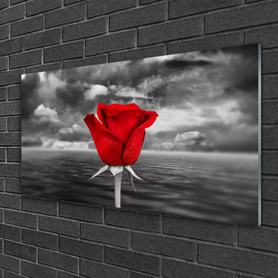 Glass Print Rose floral red grey