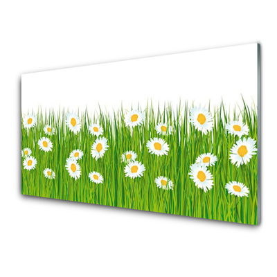 Glass Print Grass daisies nature green white yellow