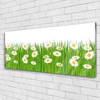 Glass Print Grass daisies nature green white yellow