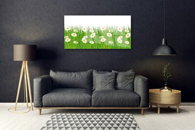 Glass Print Grass daisies nature green white yellow