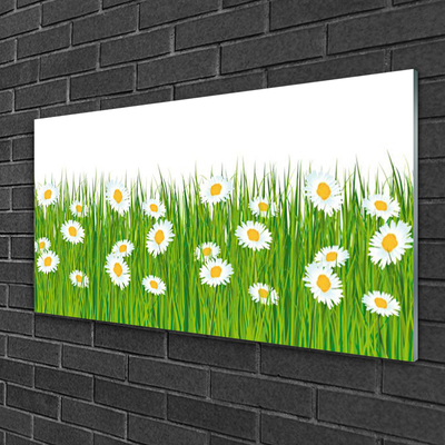 Glass Print Grass daisies nature green white yellow