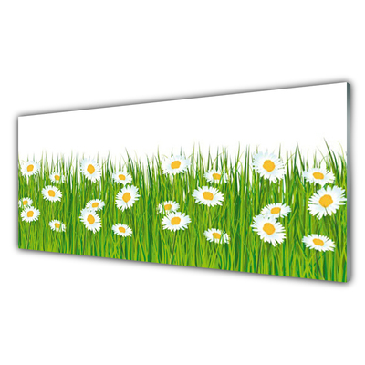 Glass Print Grass daisies nature green white yellow