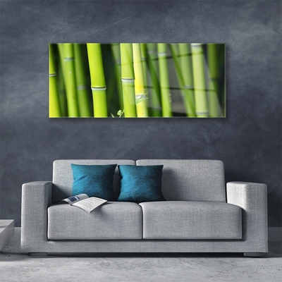 Glass Print Bamboo nature green