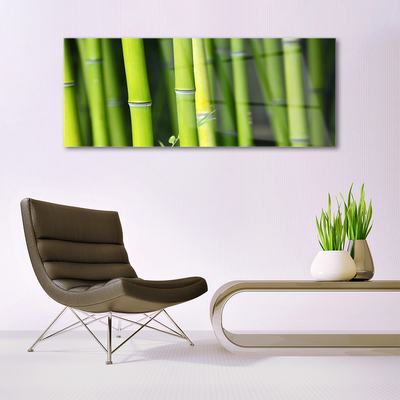 Glass Print Bamboo nature green