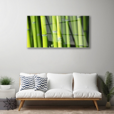 Glass Print Bamboo nature green