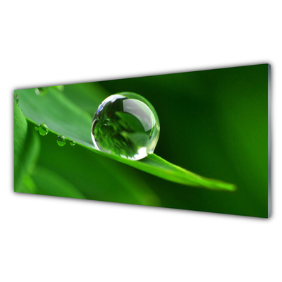 Glass Print Leaf water droplets floral green