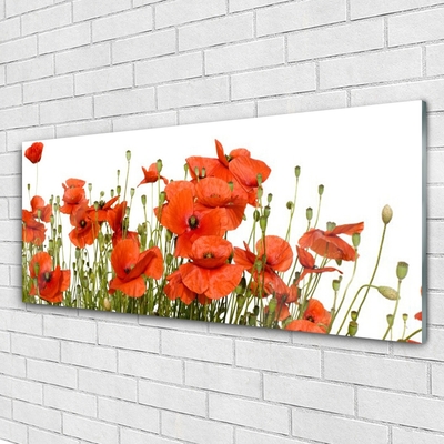 Glass Print Poppies floral red