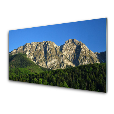 Glass Print Mountain forest nature grey green