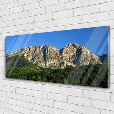 Glass Print Mountain forest nature grey green