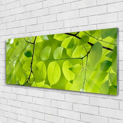 Glass Print Leaves nature green