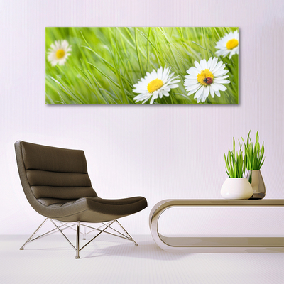 Glass Print Grass daisies nature white green