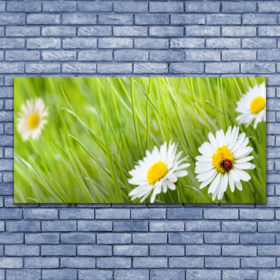 Glass Print Grass daisies nature white green