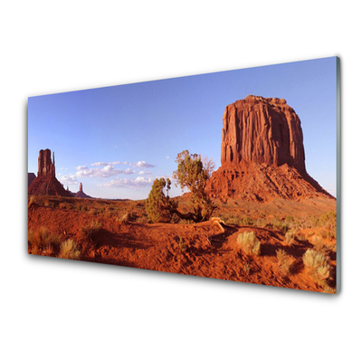 Glass Print Desert landscape brown green