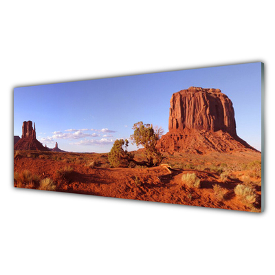 Glass Print Desert landscape brown green