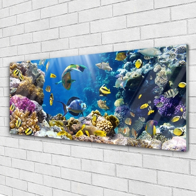 Glass Print Coral reef nature multi
