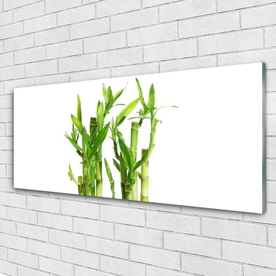 Glass Print Bamboo stalks floral green