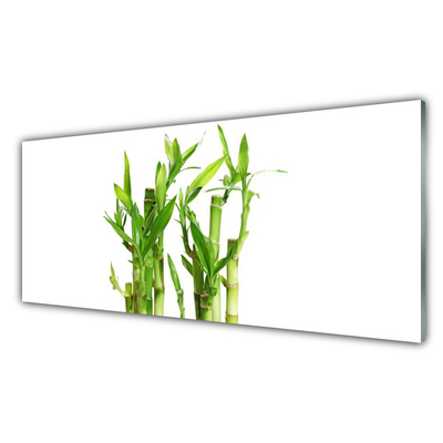 Glass Print Bamboo stalks floral green