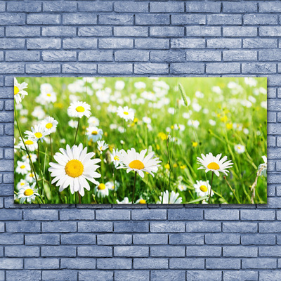 Glass Print Daisy floral white yellow green