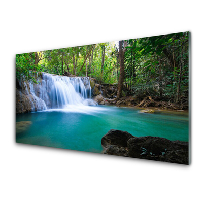 Glass Print Waterfall lake forest nature blue brown white green
